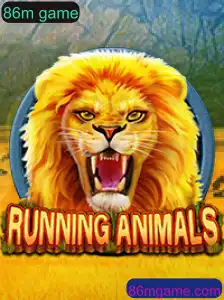 RunningAnimals: A Excitante Corrida de 86 Metros